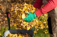 15 astuces de jardinage - novembre 2018