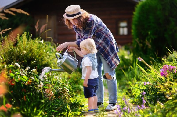 15 conseils de jardinage août