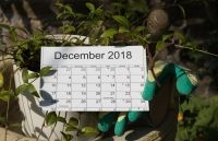 15 conseils de jardinage pour décembre