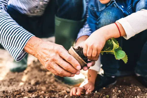 5 gewassen voor de makkelijk moestuin