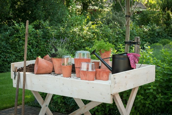 9 Conseils: jardin potager en mars