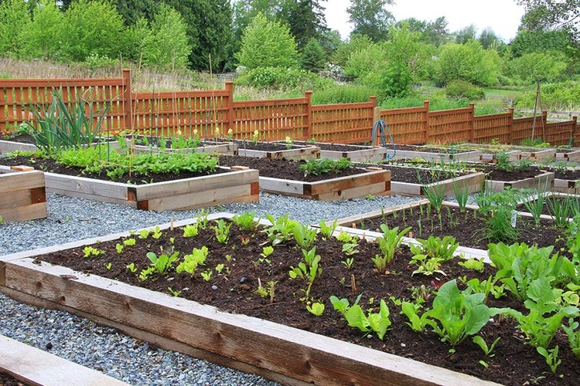 9 travaux au jardin potager pour le début du printemps