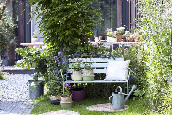 A Chaque Mois Sa Plante, juin 2017: les plantes pour hommes