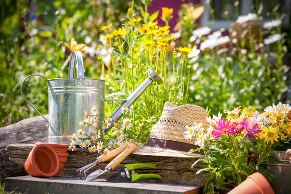 Astuces de jardinage pour le mois de mai