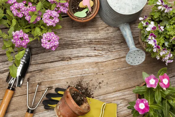 Astuces de jardinage pour le mois de mars