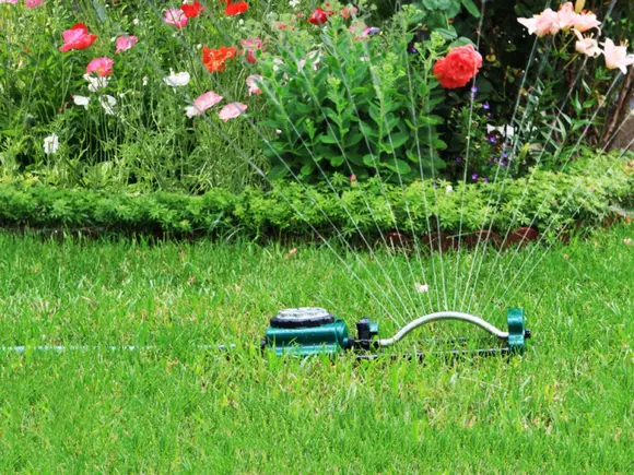 Conseils de jardinage pour juillet