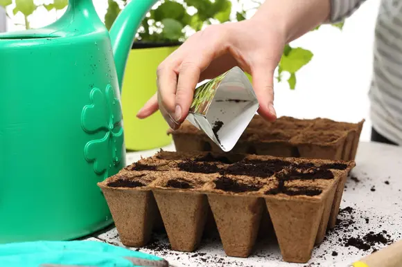 Conseils pour potagers miniatures