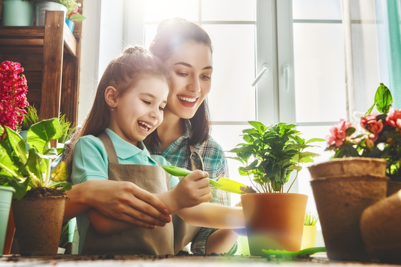 Fêtez la Saint-Nicolas avec votre centre de jardinage