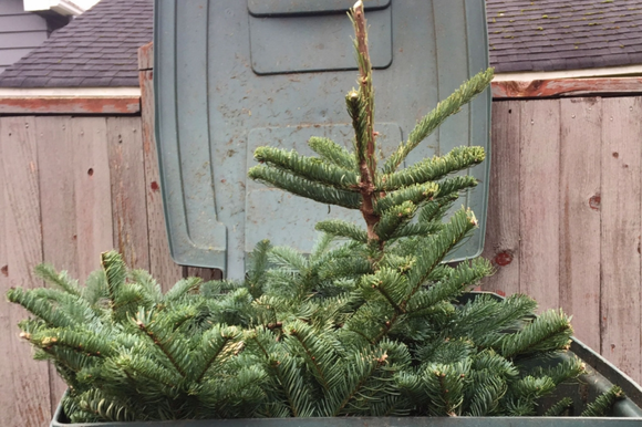 Kerstboom eruit: recyclen maar!