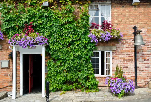 Les plus beaux jardins en façade (1)