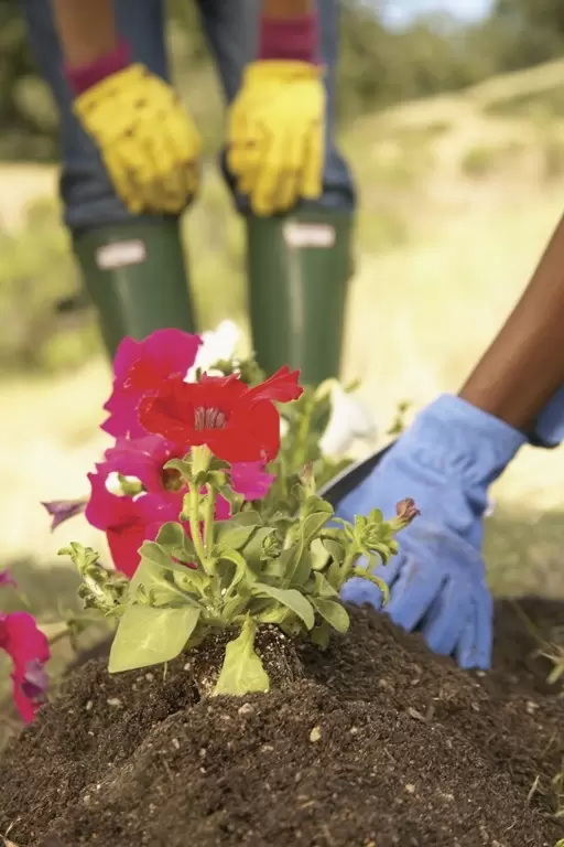 Wat te doen in de tuin in maart?