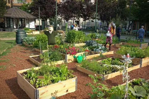 Planifier son jardin potager