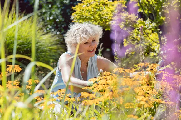 Planten die goed tegen droogte kunnen