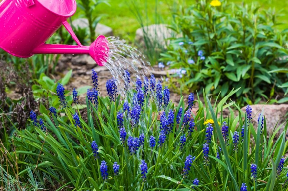 Prendre soin de son jardin pendant les vacances