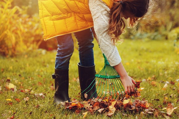 Préparez votre jardin pour l’automne