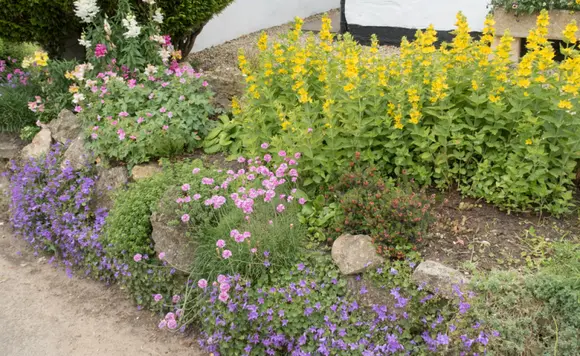 Réalisez un jardin à bouquets