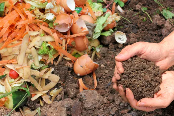 Trop dur, le compostage ? Mais non !