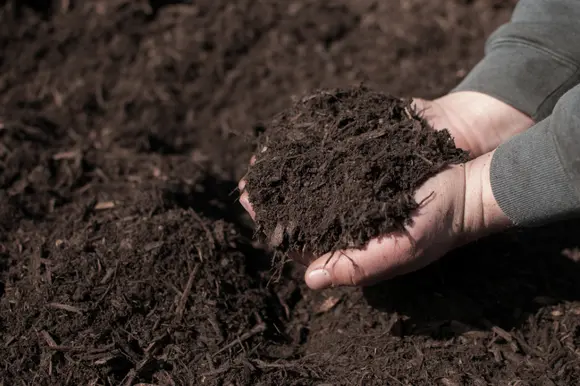 Un coup de pouce pour le jardin : le compostage et le paillage