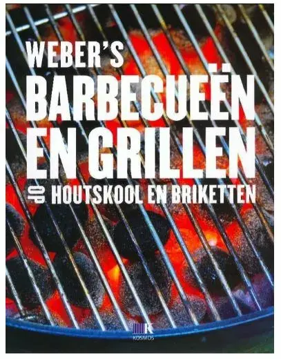 Boek bbq/grillen met houtsk/brik nl