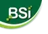 BSI