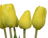 Bundel tulp l49cm a3 - afbeelding 4