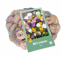 Crocus mix 60st