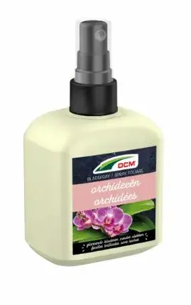 DCM Bladspray Orchideeën