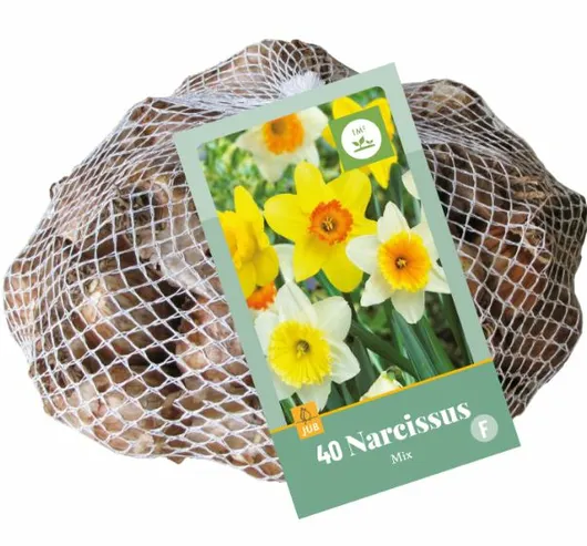 Narcissen grootkronig mix 40st