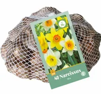 Narcissen grootkronig mix 40st