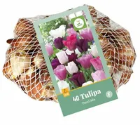 Tulipa pastel mix 40 st