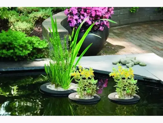 Velda Floating Plant Island rond - 25cm - image 2