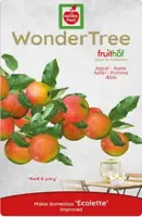 Wonder tree Malus dom. Ecolette - laagstam handappel - image 3